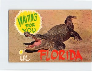 Postcard Waiting For You in Florida