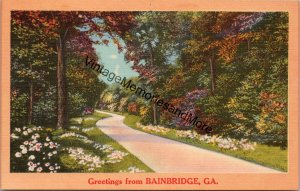 Greetings from Bainbridge GA Postcard PC290