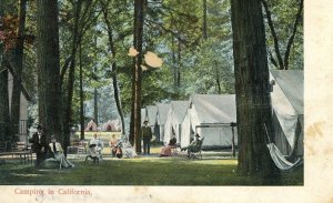 Postcard Early View of Camping in California.    P4