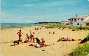 Point Du Chene NB New Brunswick Beach Scene People Dogs Vintage Postcard H29