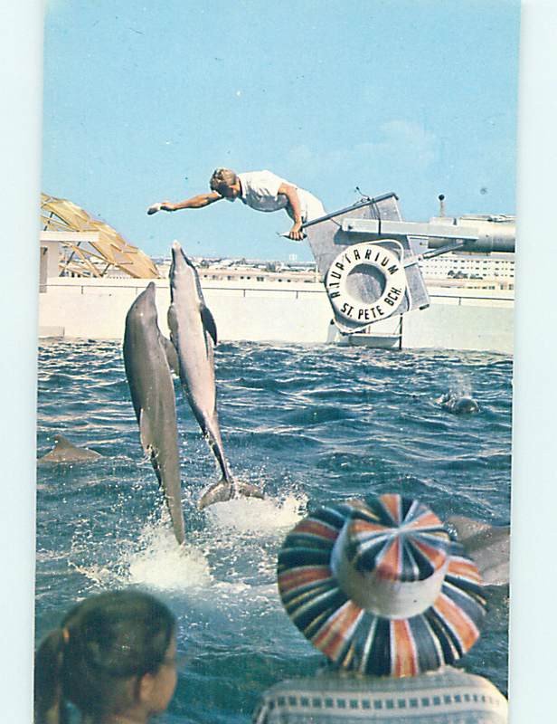 Pre-1980 AQUARIUM TOURIST ATTRACTION St. Petersburg Florida FL AF9091