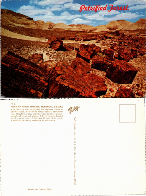 Petrified Forest, Arizona (22632