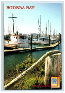 Vintage Bodega Bay, FIshing Village, California. Postcard &DE