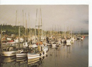 Canada Postcard - Fishing Trawlers In The Delkatla Slough, Masset  EB90