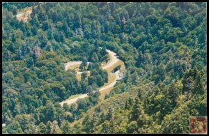 The Loop on the Transmountain Hwy 441, Great Smoky Mountains National Park