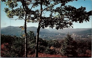 1950s MOHAWK TRAIL, MASSACHUSETTS POSTCARD 20-80