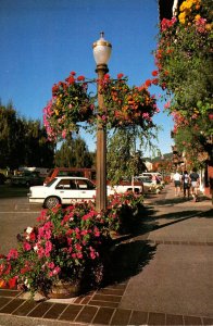 Washington Leavenworth Flower Bordered Street Scene