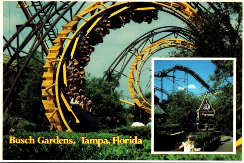 Florida Tampa Busch Gardens The Dark Continent The Python Roller Coaster