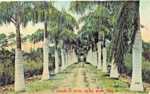 MIAMI FLORIDA~AVENUE OF ROYAL PALMS~1917 W H CHAILLE POSTCARD