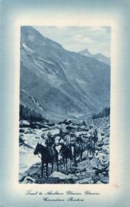 Canada Canadian Rockies Vintage Postcard 01.57 