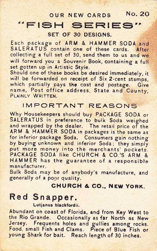 Red Snapper - Fish Series 1900 - Arm & Hammer Trade Card