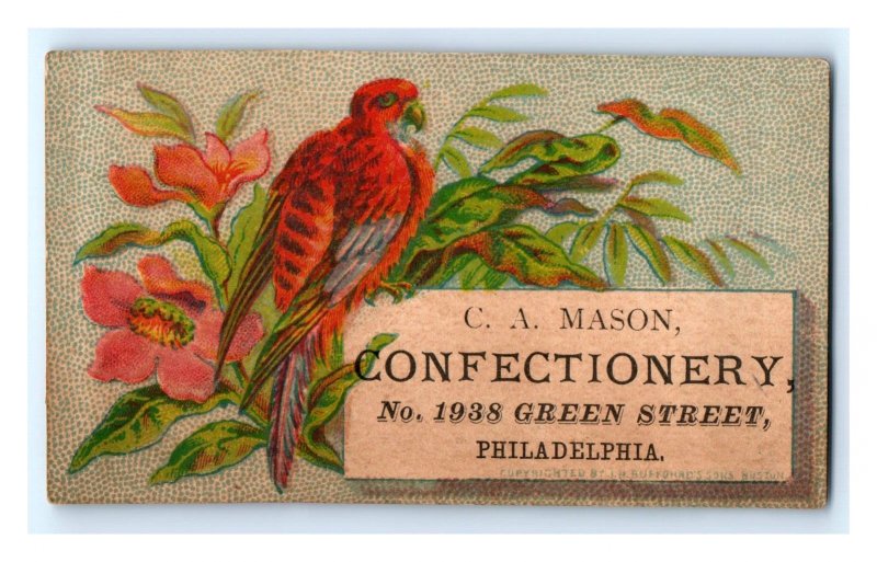 1880s C.A. Mason Confectionery Candy Maker Red Parrot P112