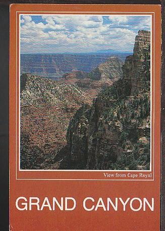 Grand Canyon AZ Postcard BIN