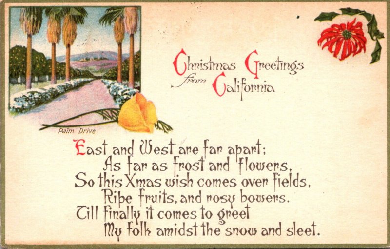 California Christmas Greetings Showing A Palm Drive 1918