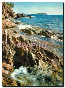 Modern Postcard The Miracle of the French Riviera Landscape nature of the Var...