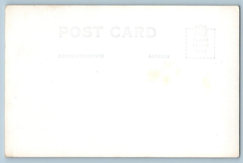 Aurora Wisconsin Postcard West Side Cheat Mountain Road Trees c1940 RPPC Vintage
