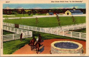 Vintage Blue Grass Horse Stock Farm Equestrian Old Kentucky KY Linen Postcard