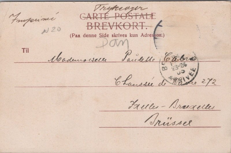 Denmark Aalborg Latinergyden Vintage Postcard 04.11