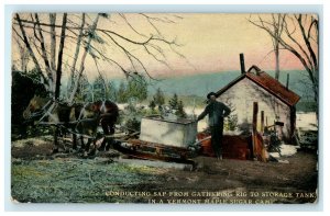 1914 Conducting Sap Vermont Maple Sugar Camp Pleasant Gap Pennsylvania Postcard 