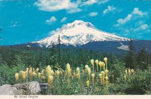 Mount Hood Oregon