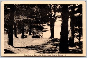 Postcard Gravenhurst Ontario c1930s The Pines at Gull Lake Muskoka by PECO