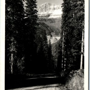 c1940s Montana RPPC Glacier National Park Real Photo Garden Wall Postcard A95