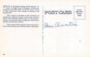 W.K. Kellogg Arabian Horse Ranch Stables, Pomona, CA c1920s Vintage Postcard