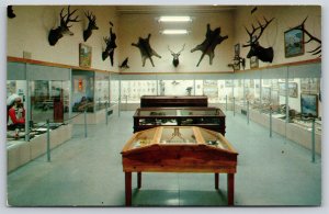 Interior~Vernal Utah~Field House Of Natural History Animal Displays~Vintage PC