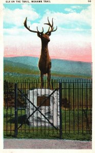 Vintage Postcard 1920's Elk on the Trail  Mohawk Trail Animal