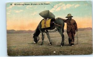 Glendale Arizona Wandering Moses 40 years in Desert Donkey Vintage Postcard A52