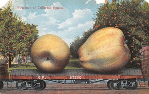 California Apples California, USA Writing on back missing corners