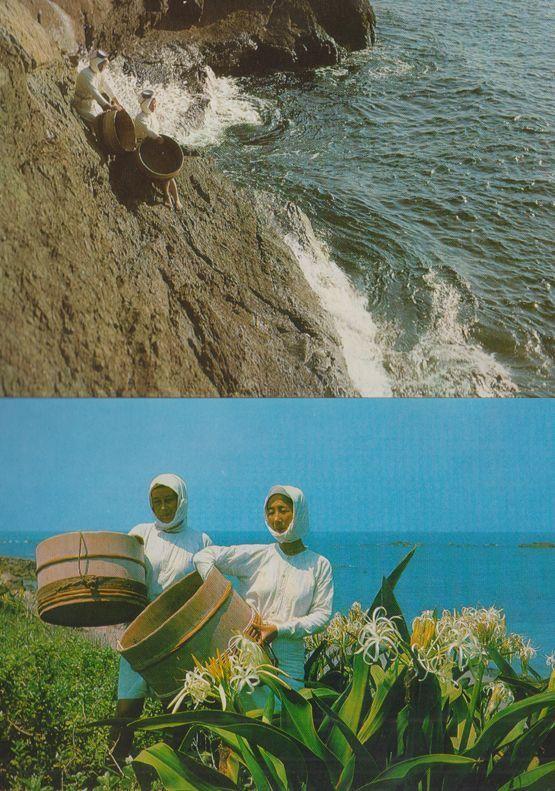 Women Diver Diving In Shima Japan Japanese 2x Postcard