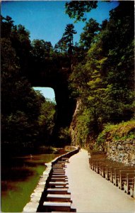 Natural Bridge Virginia VA Postcard UNP VTG Tichnor Unused Vintage Chrome