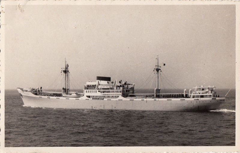 Postcard RPPC Ship MS Ribeira Grande