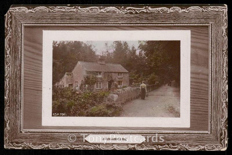 A COUNTRY LANE