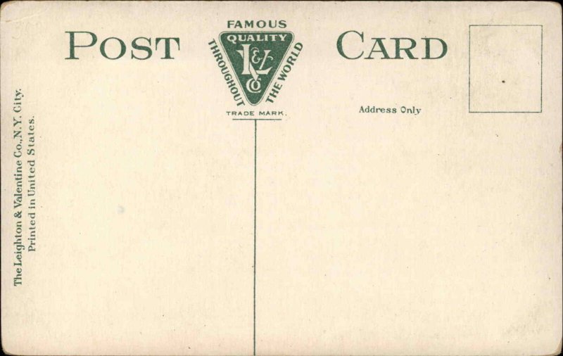 Middletown NY State Hsospital Insane Asylum c1910 Unused Postcard