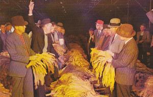 A Typical Tobacco Auction