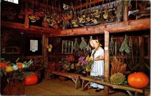 Old Sturbridge Village Herb Barn Interior Massachusetts Chrome Postcard 