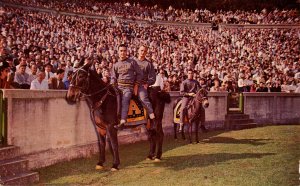 NY - West Point. Army Mascot Mr Jackson at Michie Stadium