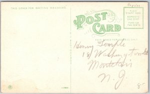 Buffalo New York NY, Scene In Forest Lawn Cemetery, River, Vintage Postcard