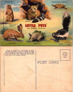 Lttle Pets' of West Texas (11773)