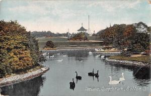 BR93935 the lake queen s park bolton cygne swan   uk