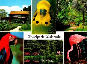 Germany Walsrode Vogelpark Bird Park Multi View Flamingo Parrot & More