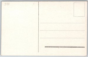 Trondheim Norway c1910 Postcard Fjeldsaeter Mountain Restaurant