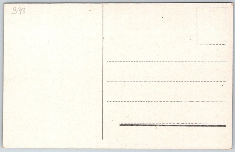 Trondheim Norway c1910 Postcard Fjeldsaeter Mountain Restaurant