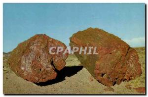 USA Modern Postcard Arizona petrified logs (fossil)