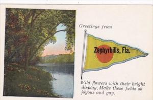 Florida Zephyrhills Pennant Series