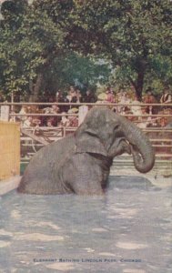 Elephant Bathing At Lincoln Park Chicago Illinois 1915