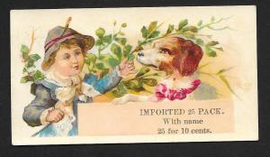 VICTORIAN TRADE CARD Stock Card Sales Boy, Dog & Leaves