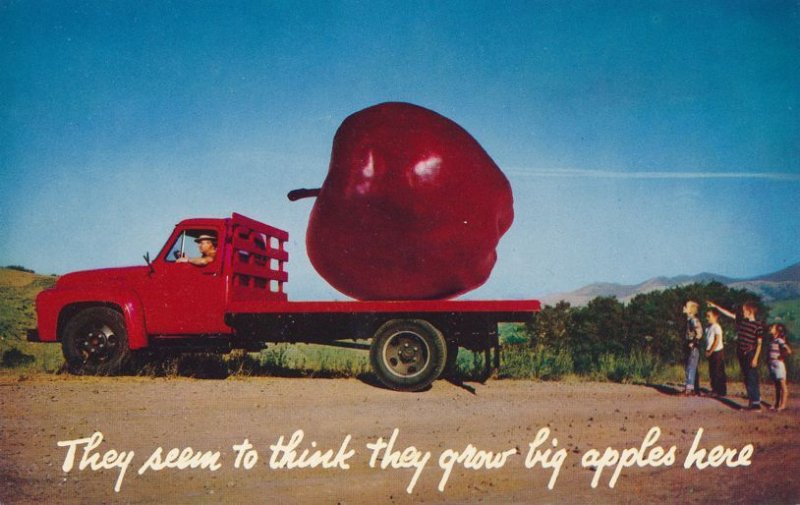 Truck Load of Apple Fruit - Exaggerated View (Pub in California) - Roadside